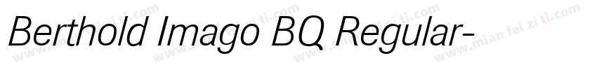 Berthold Imago BQ Regular字体转换
